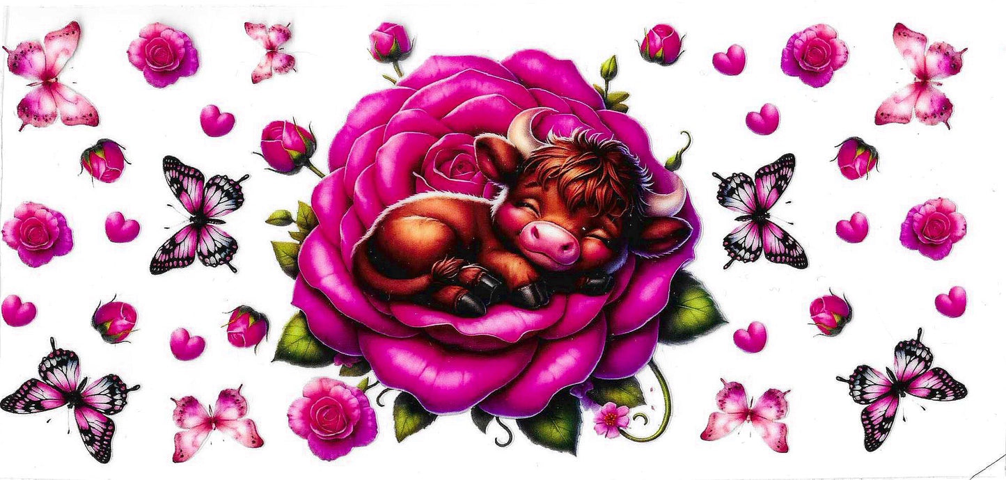 Highland cow sleeping on a Flower