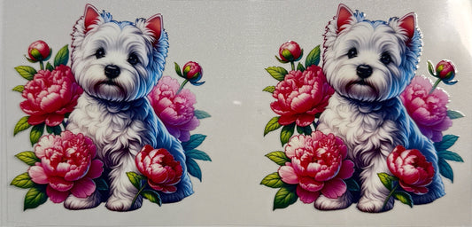 631