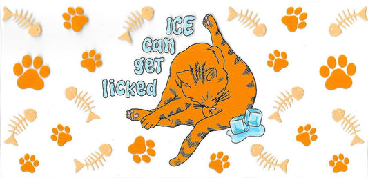 146